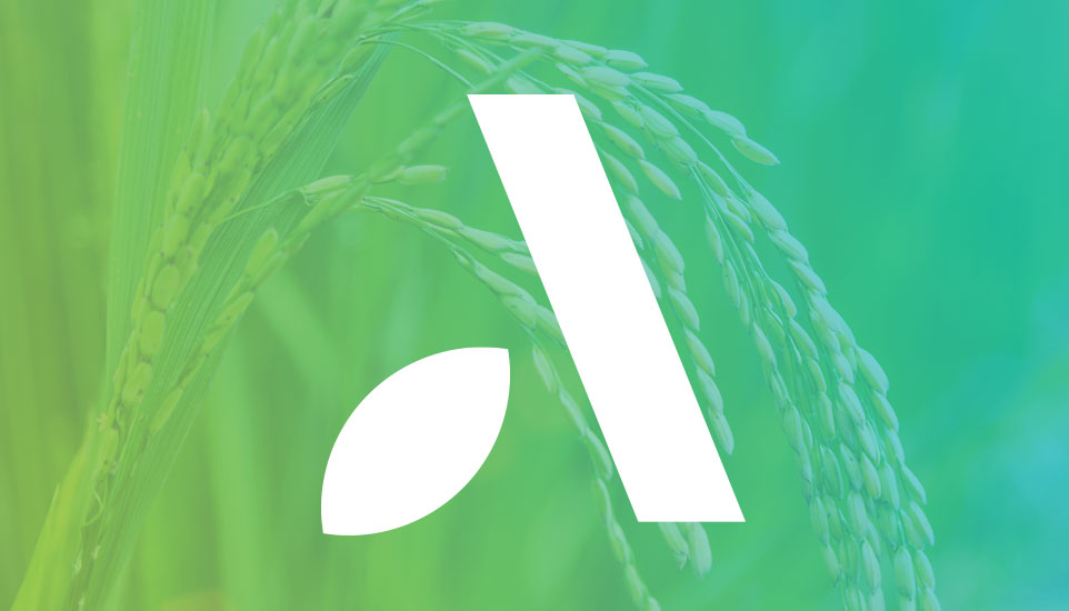 
	  	  					Agrytech - Branding, Website Design & Development For Agri Food Innovators	  	  					