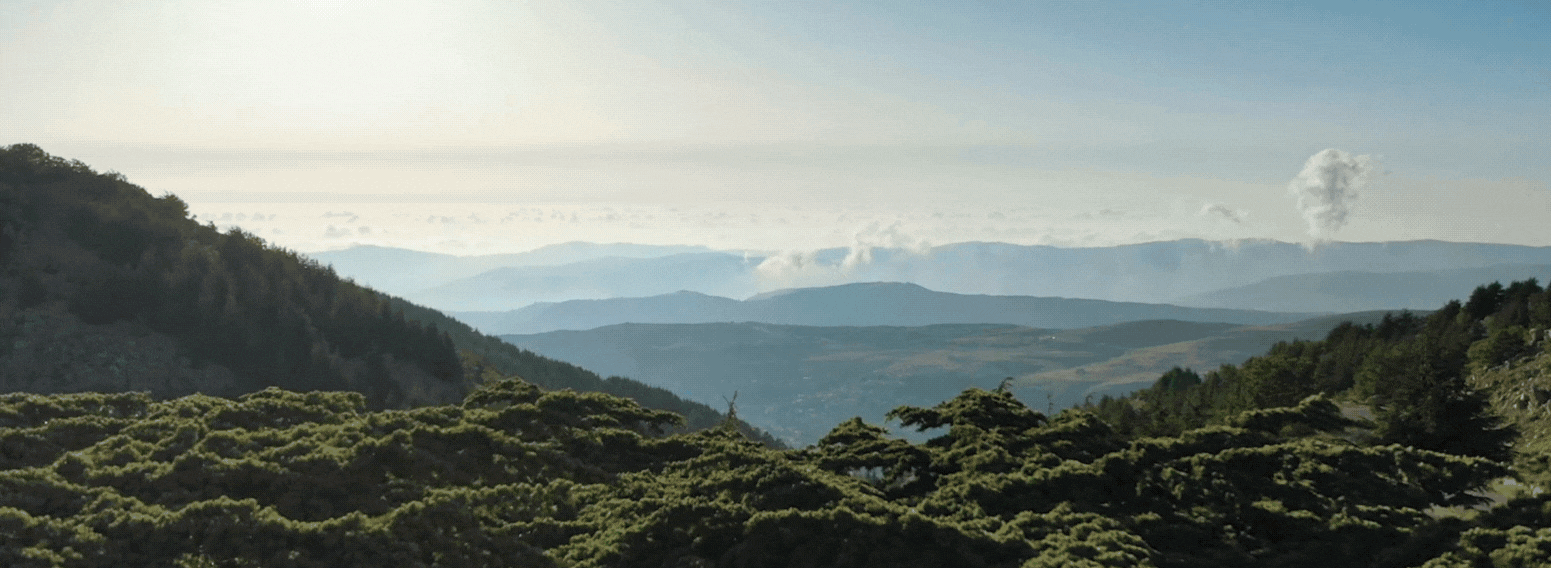 Barouk Water – Brand Creation for Lebanon’s Premium Sustainable Mineral Water