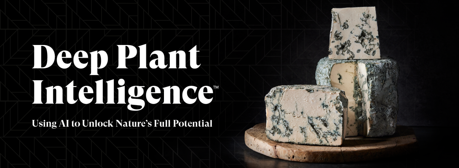 Climax Foods USA- Powering a FoodTech Revolution Through Storytelling and Strategic Digital Presence