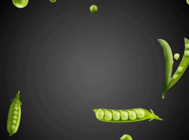 Switch – Reinventing Plant Based Branding in the UAE