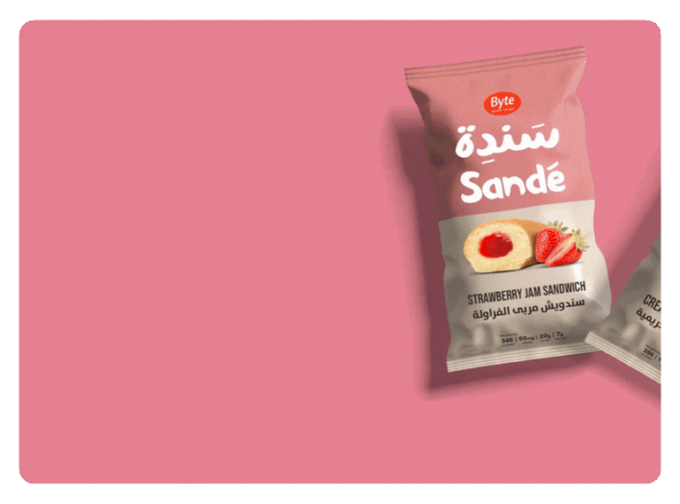 Sandé – The Campaign Lebanon Thought Was a Revolution