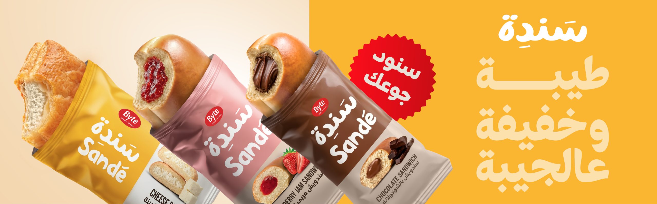 Sandé – The Campaign Lebanon Thought Was a Revolution