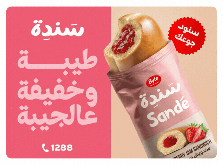 Sandé – The Campaign Lebanon Thought Was a Revolution
